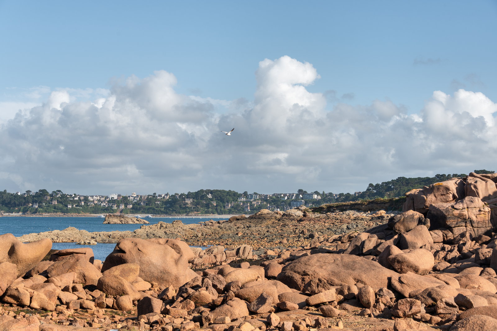 Vacation photography session in The Pink Granite Coast, France