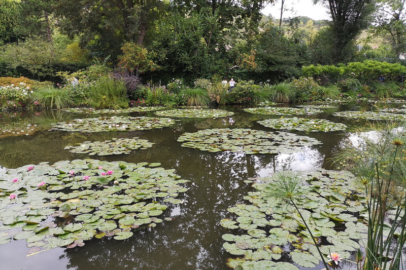 Professional vacation photoshoot in Giverny, France