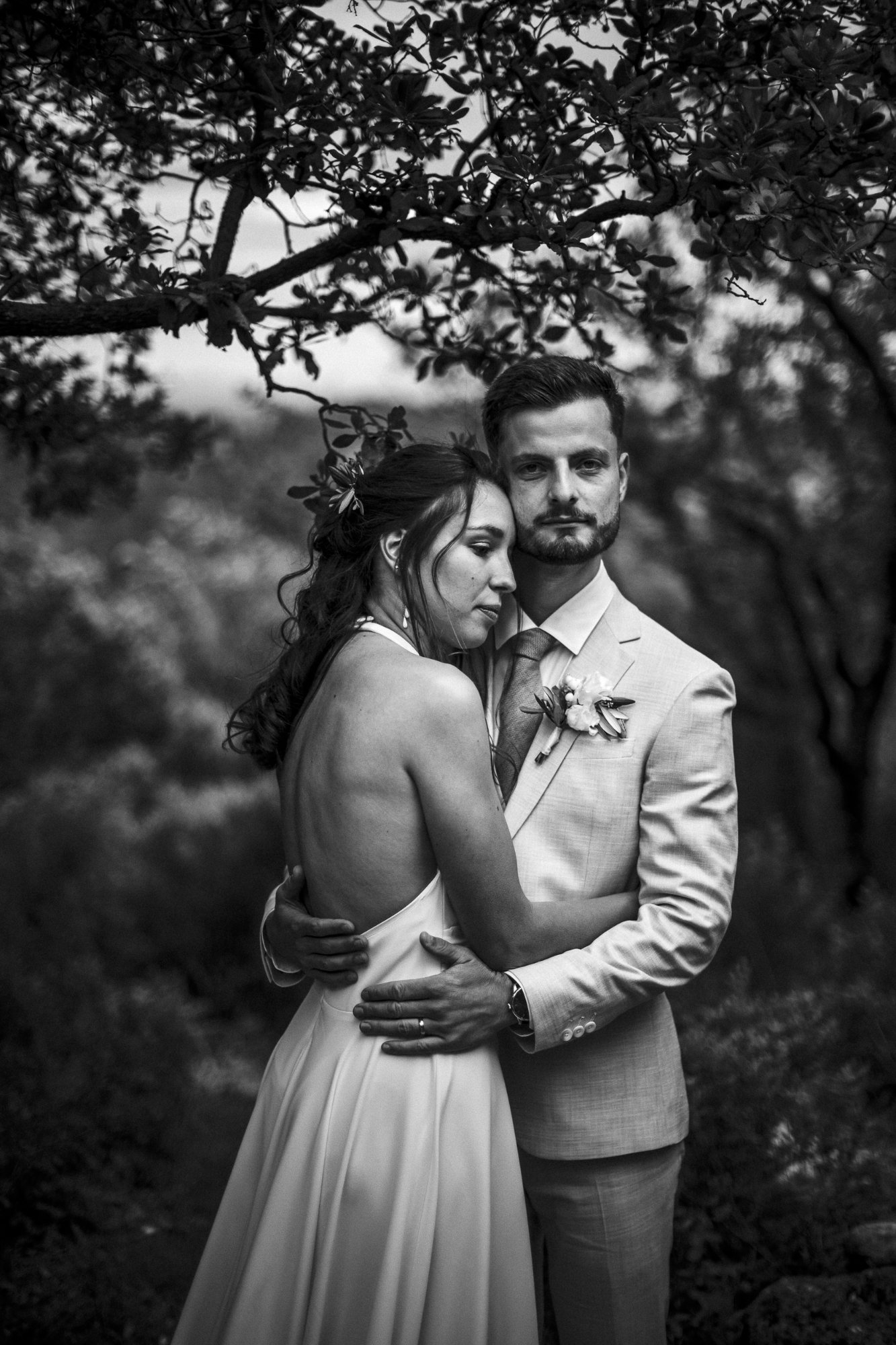 Bodas