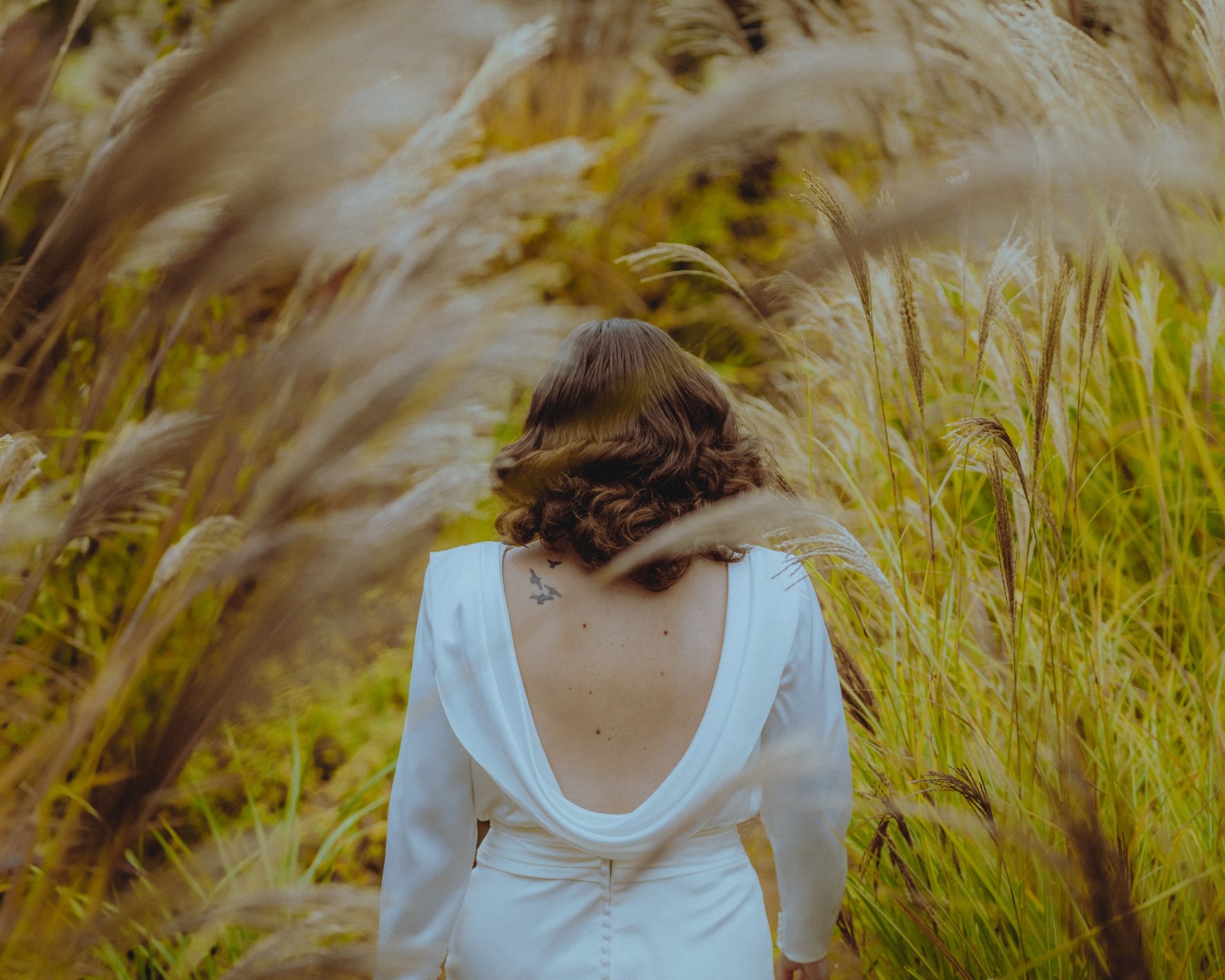 Photo by Andrés Fluxa